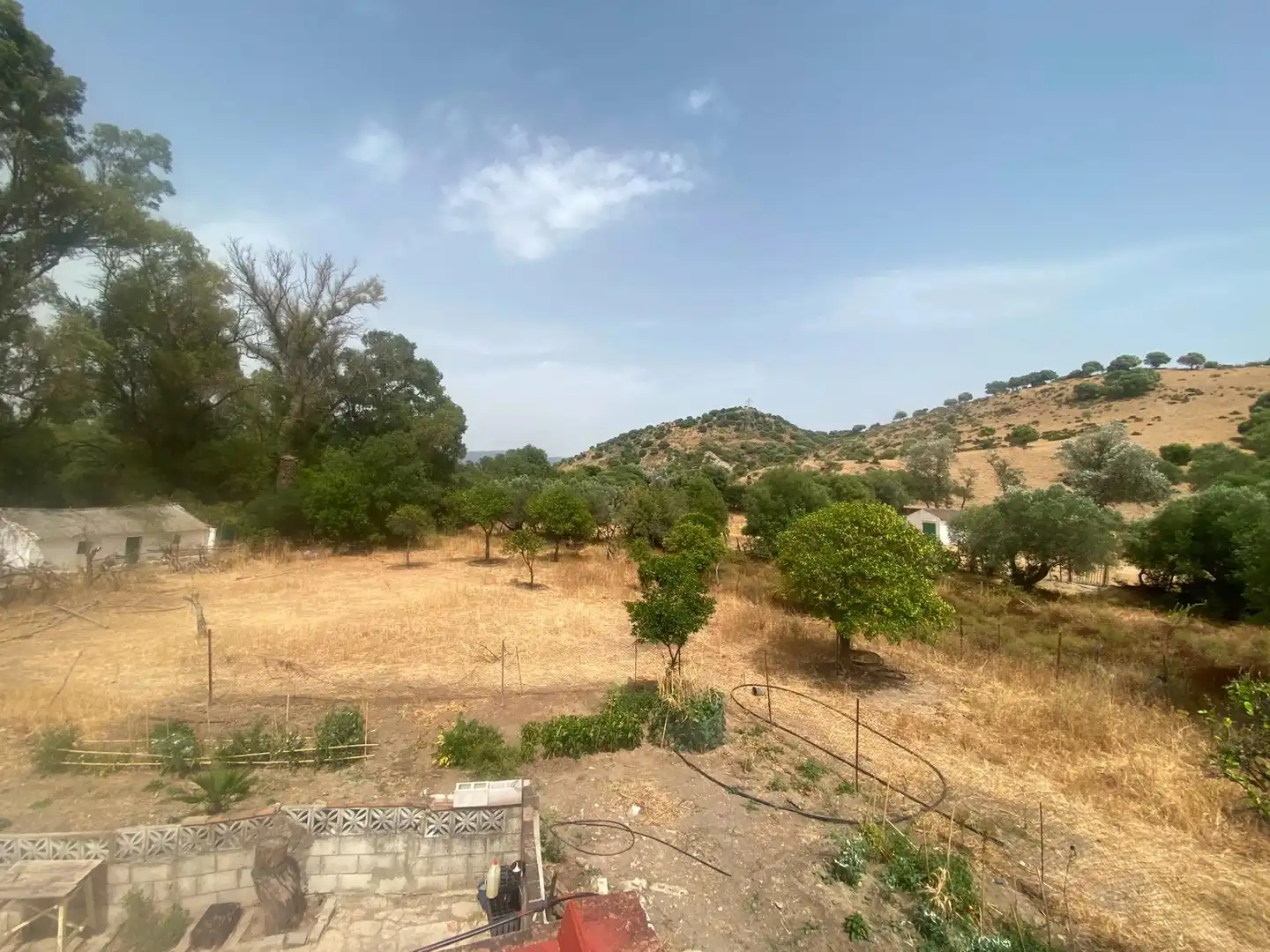 Terreni e lotti in vendita a Alcalá de los Gazules, imagen 80