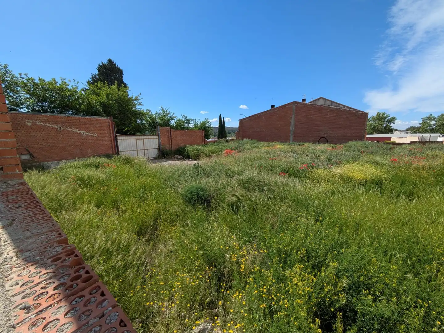 Terreno residencial en venta en Plaza Mayor 1, imagen 2