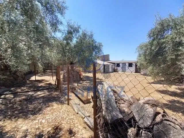 Casa o chalet en venta en Pedroche con Jardín privado y Trastero