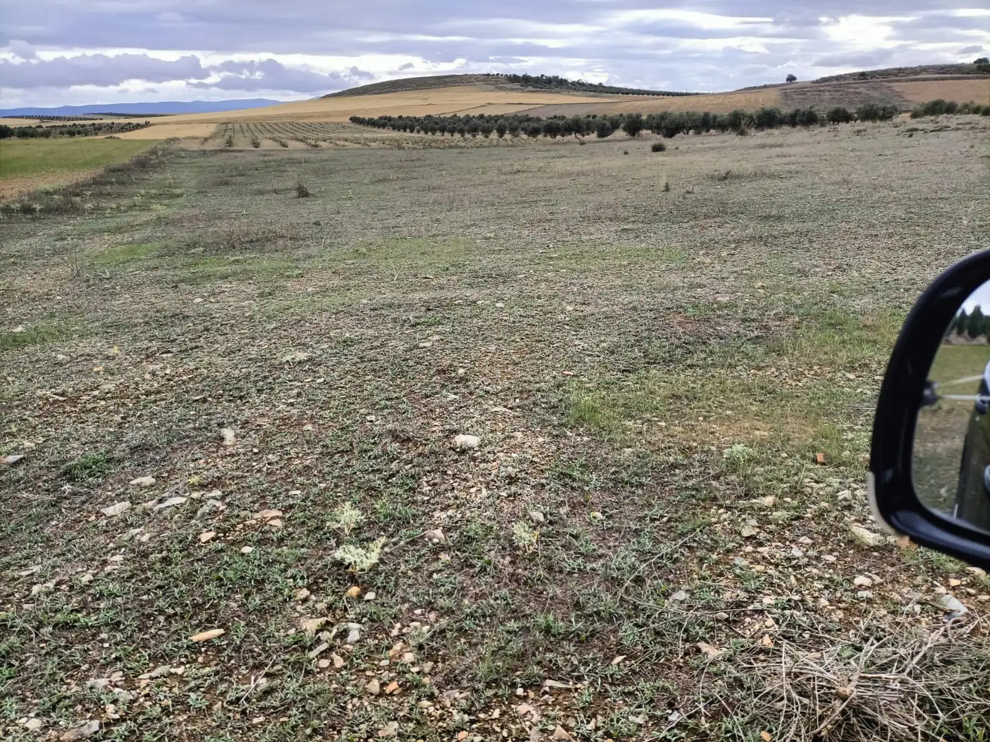 Terreny rústic en venda a Almonacid de Toledo, imagen 5