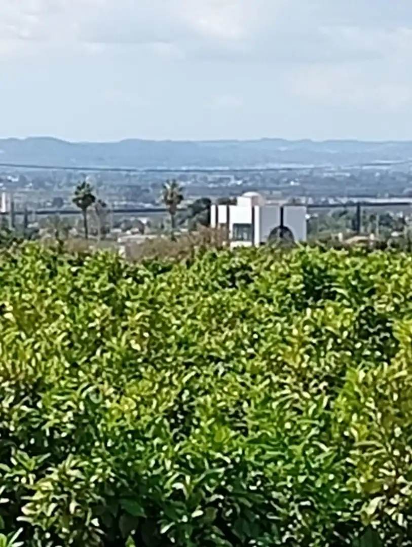 House with pool for sale in Crevillent, imagen 13