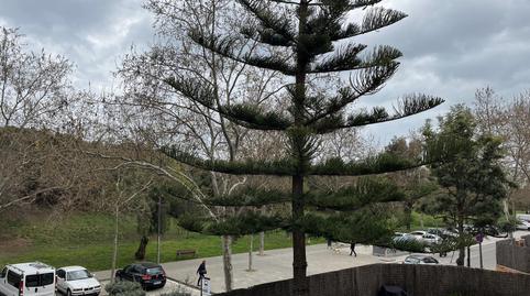 Foto 3 de Pis de lloguer a Can Bou, Castelldefels