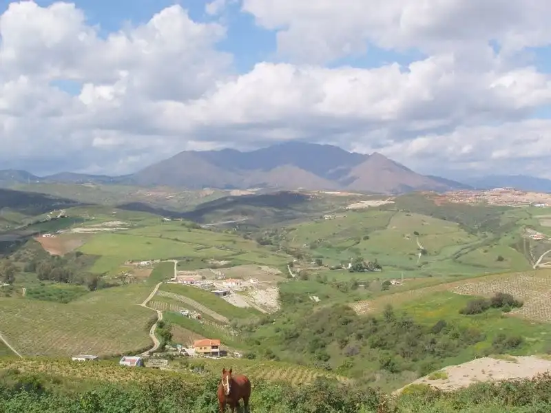 Terreni e lotti in vendita a Manilva Pueblo, imagen 3