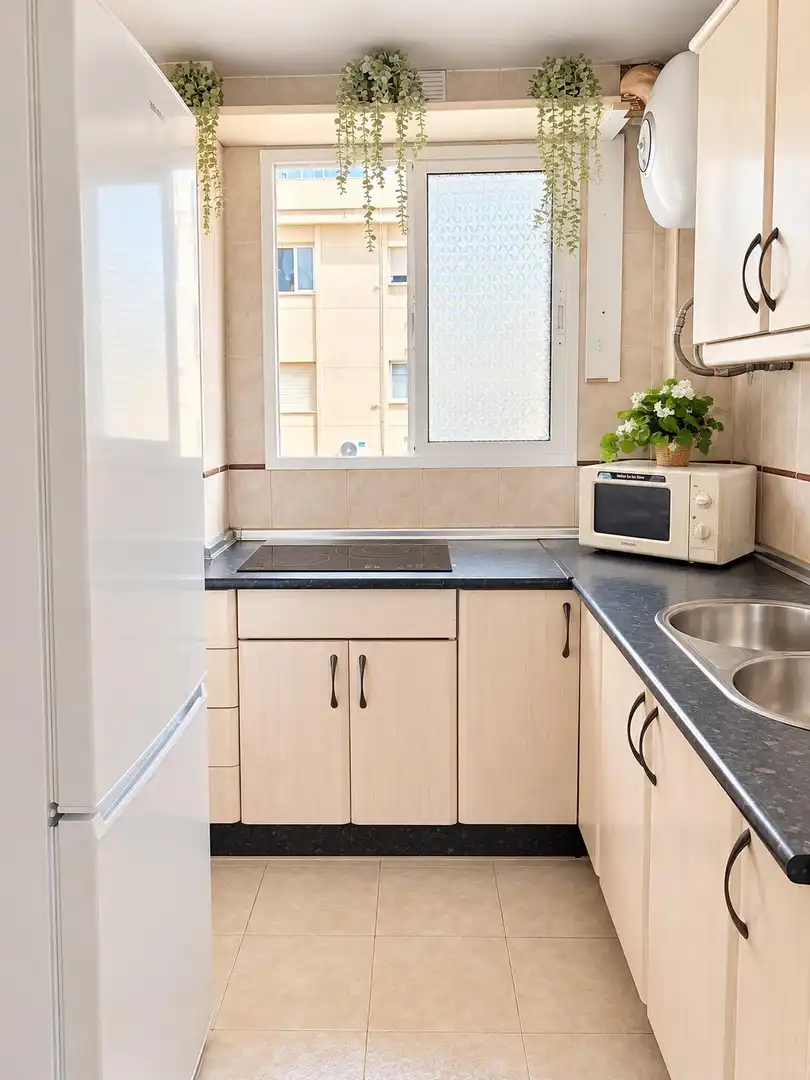 Cocina de Piso de alquiler en Málaga con Amueblado y Balcón