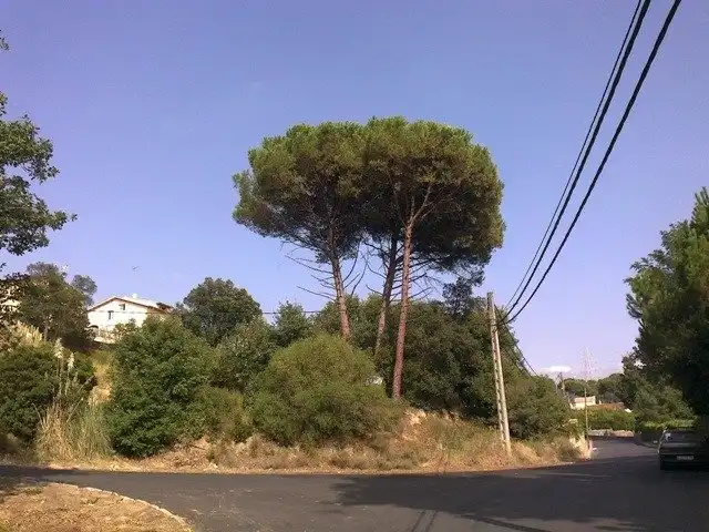 Terrenos y solares en venta en Calle ORDENAC RIELLS 246, imagen 2