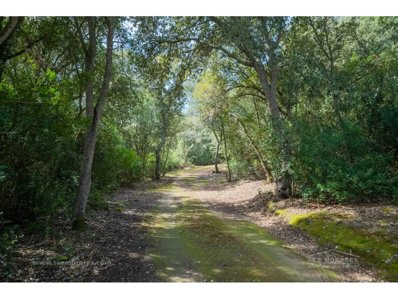 Vista exterior de Finca rústica en venda en Es Mercadal amb Jardí privat i Terrassa