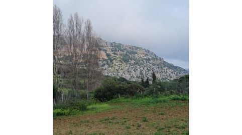 Foto 4 de Casa o chalet en venta en Casares pueblo, Casares