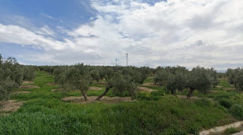 Photo 4 of Land for sale in Camino Brujuelo, Villatorres, Jaén