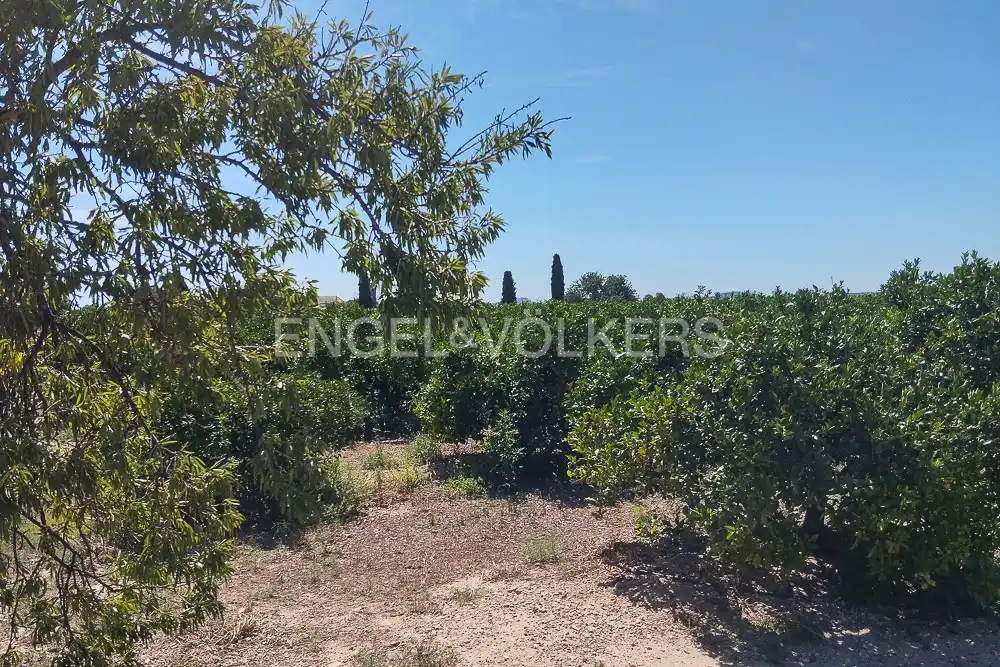 Terrain rustique à vendre à Casco Antiguo, imagen 7