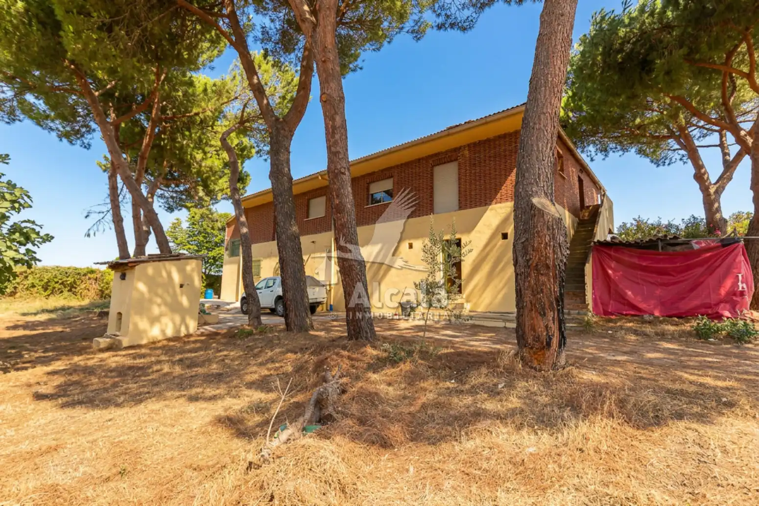 Außenansicht von Haus oder Chalet zum Verkauf in El Molar (Madrid) mit Schwimmbad