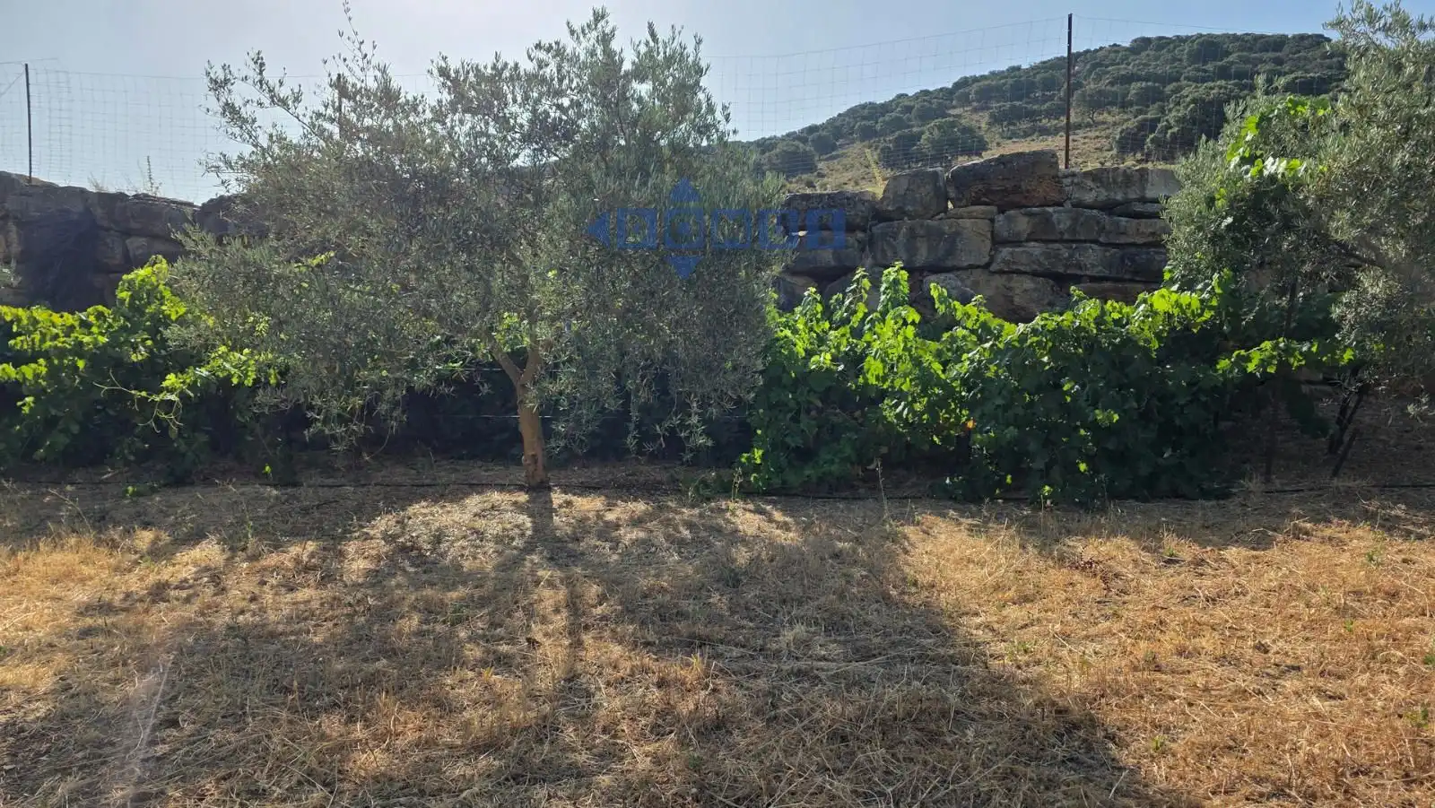 Terreno en venta en Camino Cartajima, carretera de san pedro, Partidas Sur