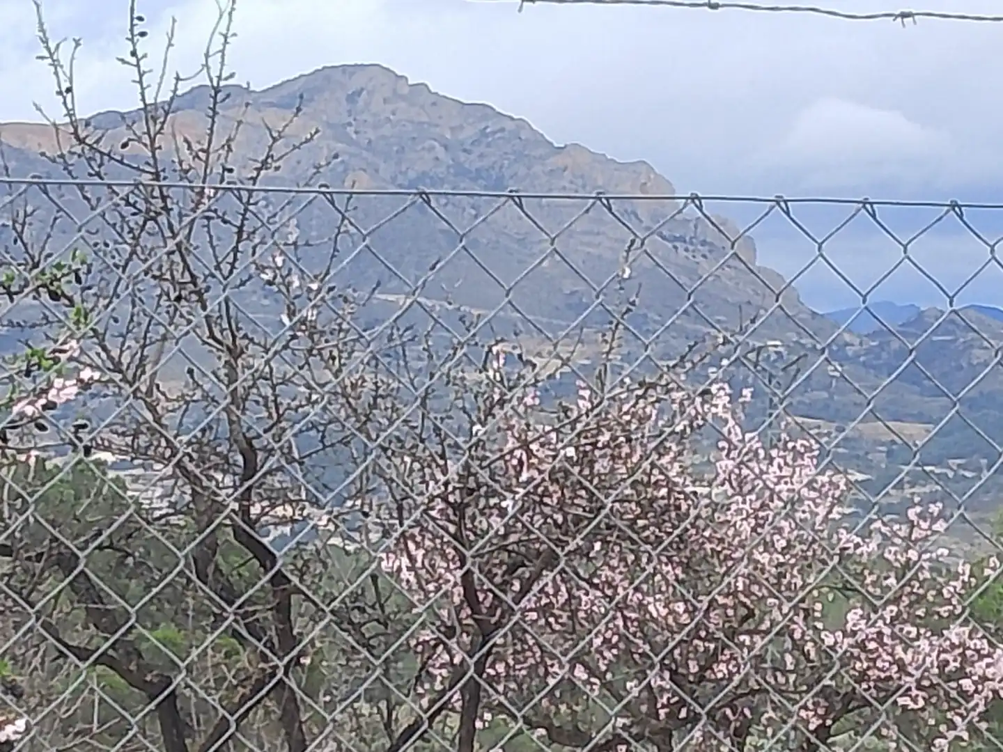 Vista exterior de Casa o xalet en venda en Tibi amb Jardí privat, Terrassa i Moblat
