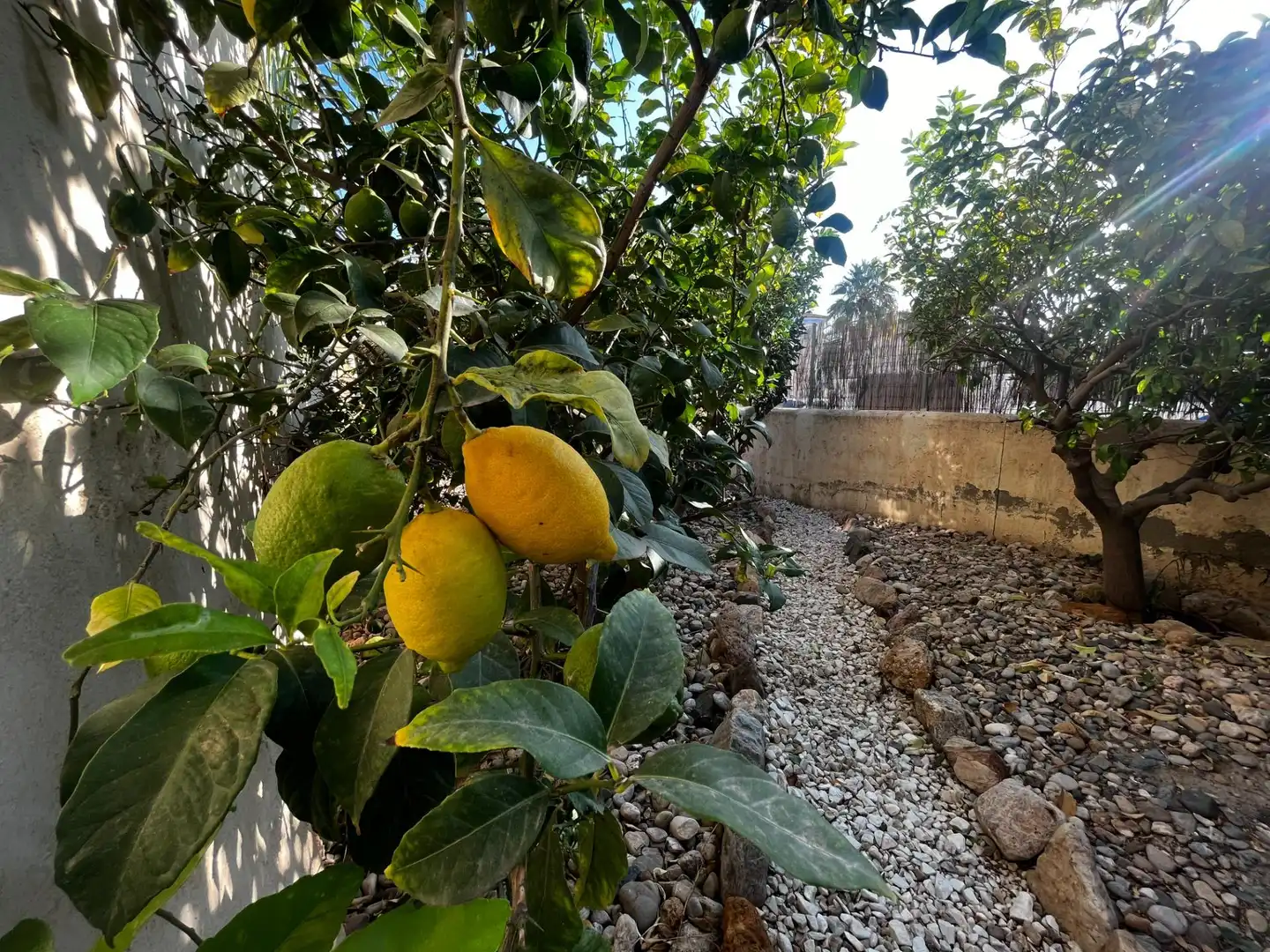 Jardín de Casa o chalet en venta en Vera con Aire acondicionado, Calefacción y Jardín privado
