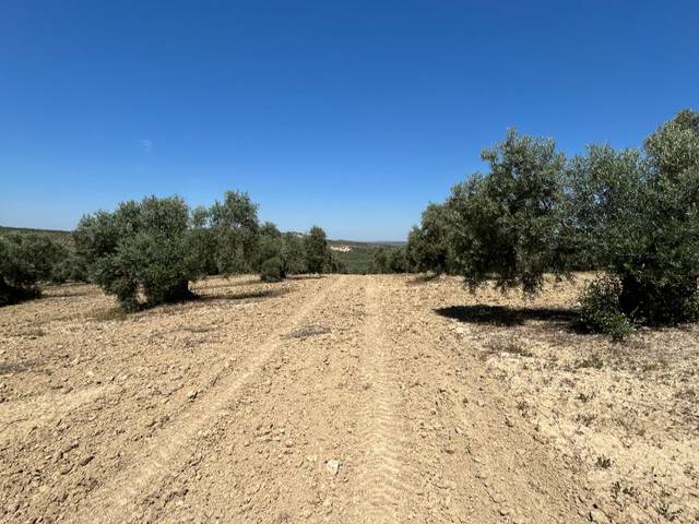 Terreno en Venta en Calle Camarata, 1 en Aguilar de la Frontera