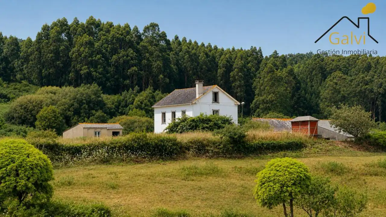 Vista exterior de Casa o xalet en venda en Ortigueira