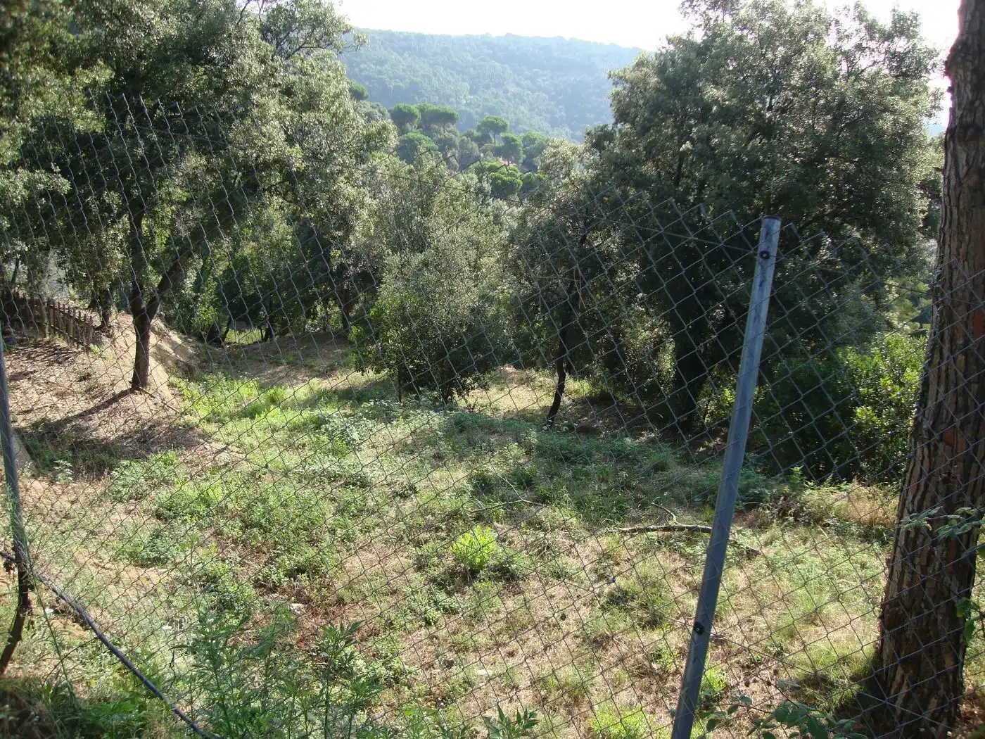 Wohnbaugrundstück zum Verkauf in Sant Cebrià de Vallalta, imagen 2
