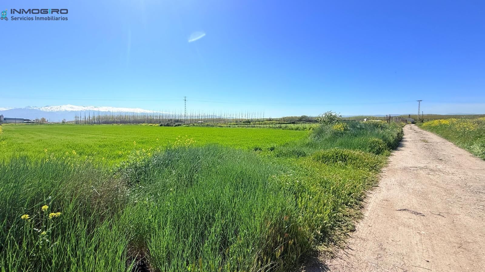 Finca rústica en venta en Atarfe