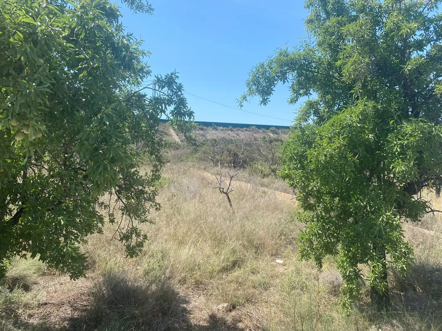 Land for sale in San Vicente del Raspeig / Sant Vicent del Raspeig