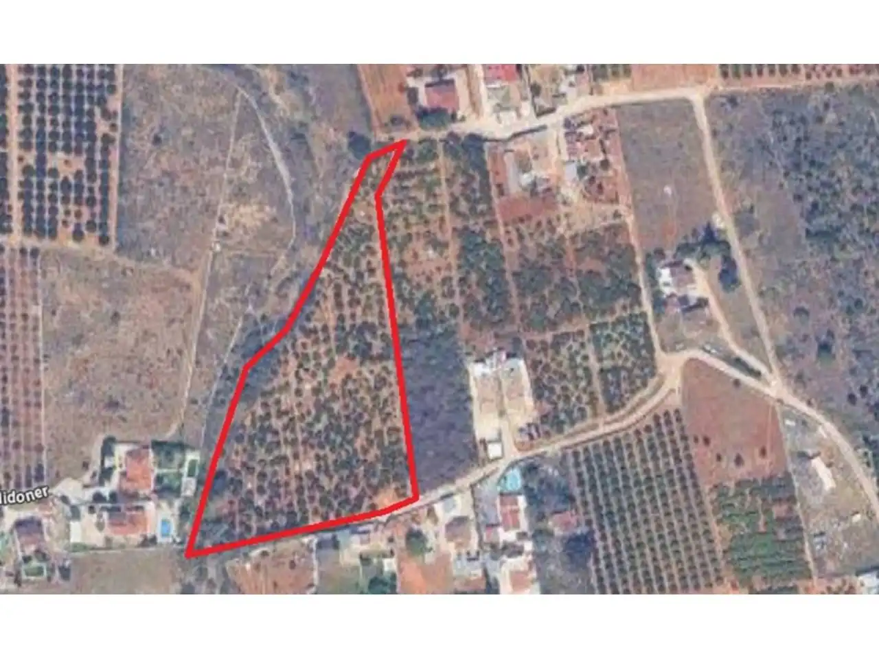 Terreny rústic en venda a Camino Cova Negra 1, imagen 16