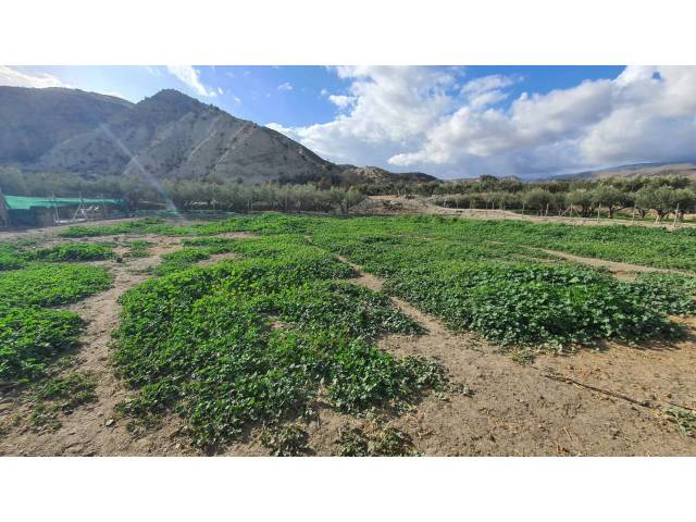 Casa-chalet en Venta en Calle meson en Santa Cruz de Marchena