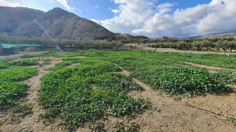 Photo 5 of House or chalet for sale in Meson , Santa Cruz de Marchena, Almería