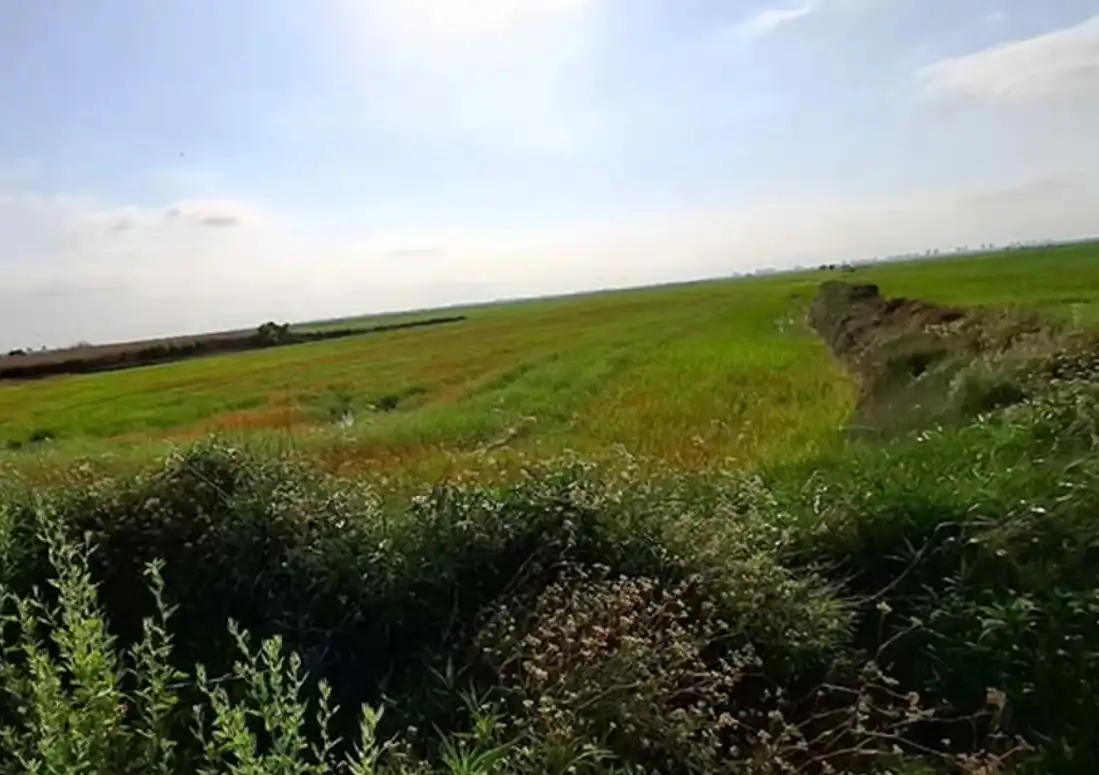 Rural land for sale in Silla, imagen 8