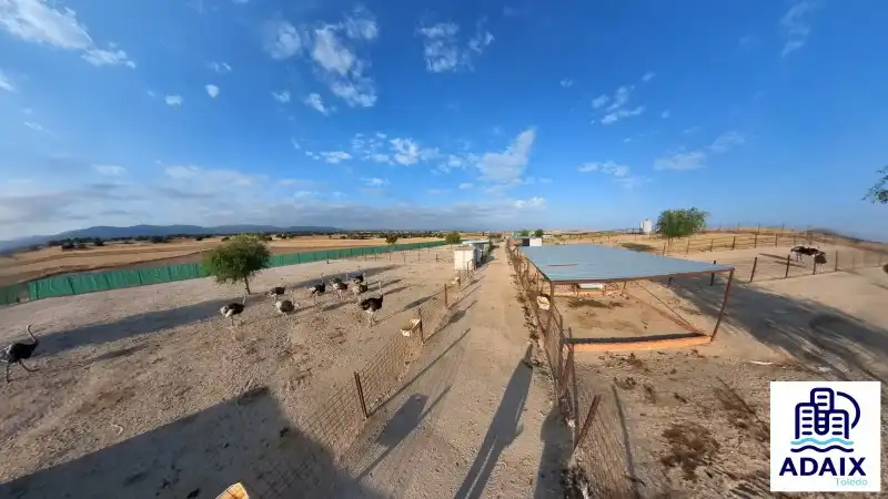 Vista exterior de Finca rústica en venda en Pulgar amb Calefacció i Terrassa