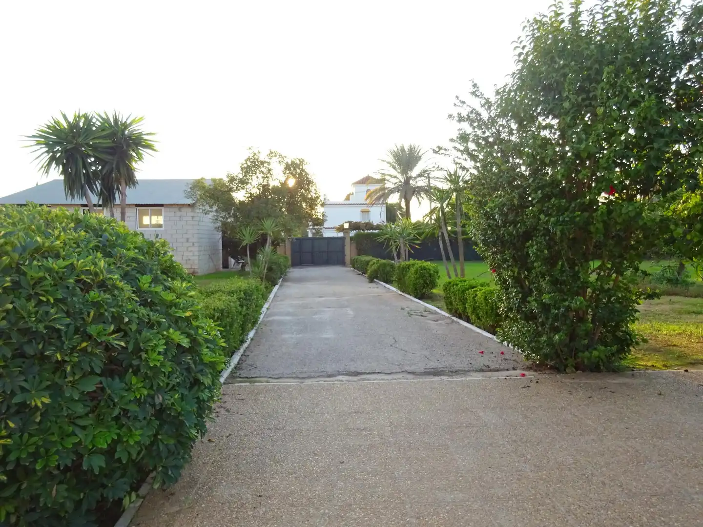 Exterior view of Houses for sale in Sanlúcar la Mayor  with Air Conditioner, Private garden and Storage room