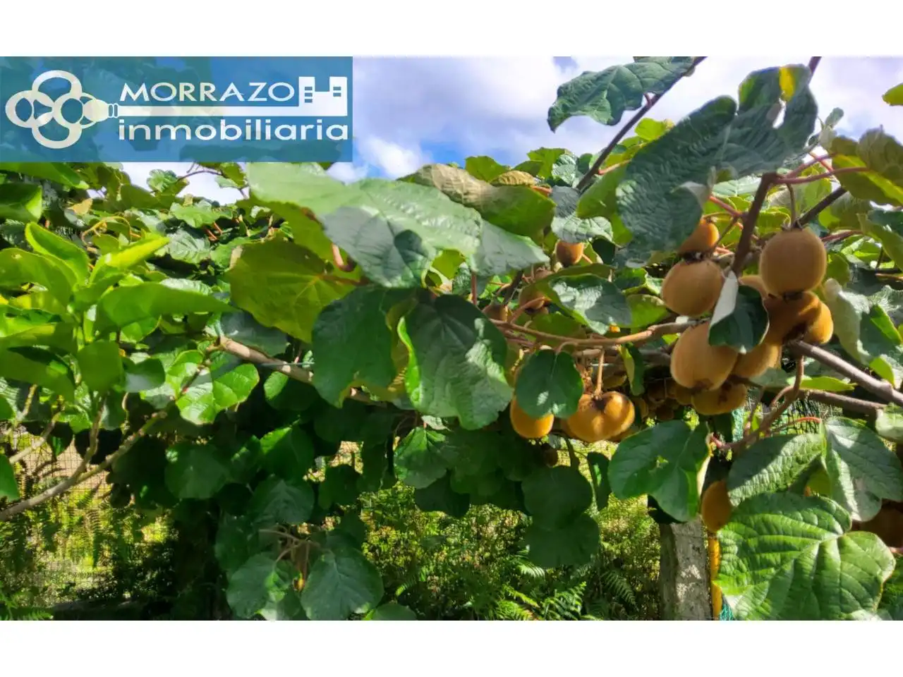 Garden of Houses for sale in Marín  with Heating, Private garden and Terrace