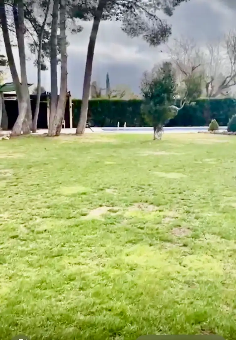 Vista exterior de Casa o chalet en venta en Albacete con Aire acondicionado, Calefacción y Jardín privado