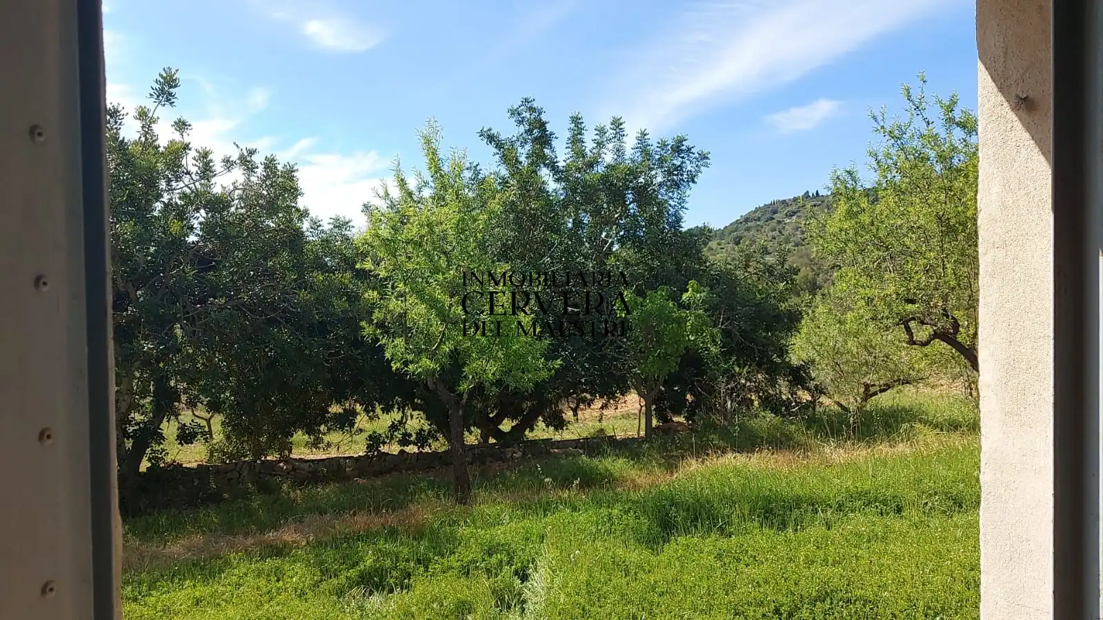 Rural land for sale in Cervera del Maestre, imagen 3