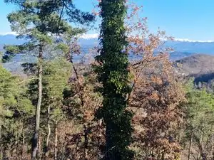 Residential land for sale in Carrer de l'Estany 408, imagen 13