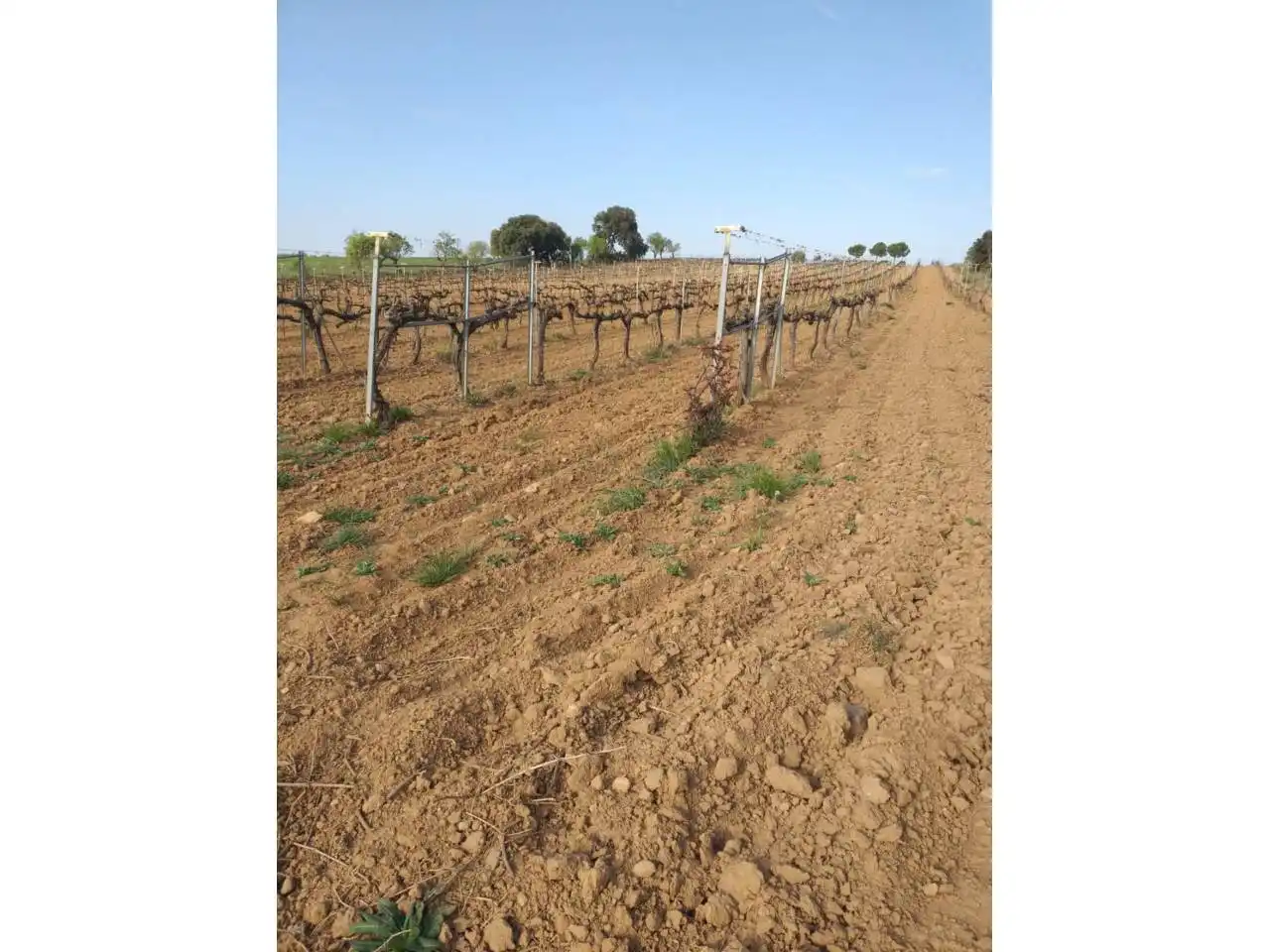 Edificio en venta en Lascellas-Ponzano