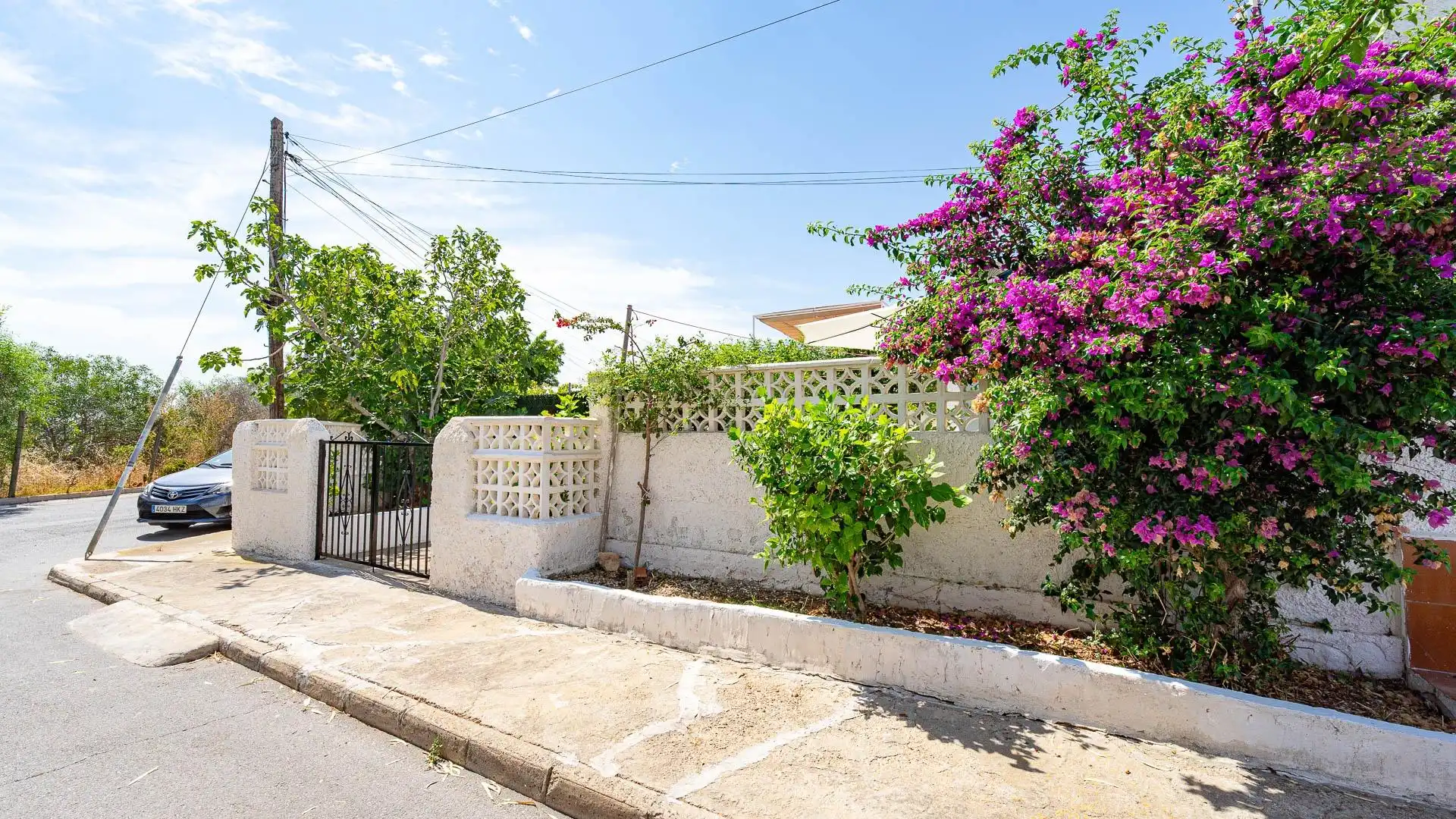 Vista exterior de Casa o chalet en venta en Torrevieja con Jardín privado, Terraza y Trastero