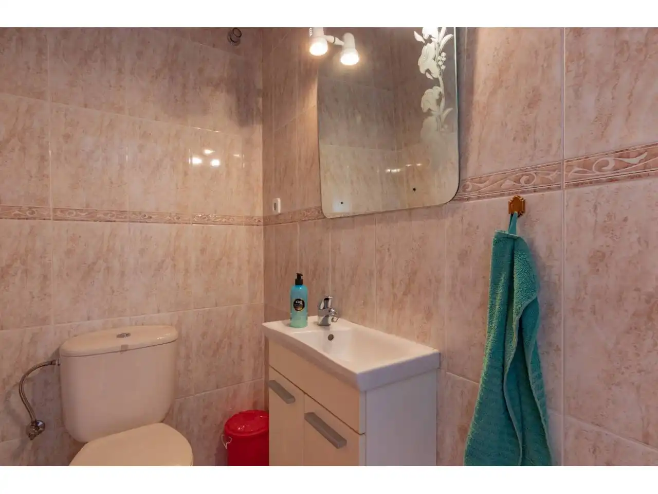 Villa avec jardin à vendre à Urbanizacion La Sirena, imagen 33
