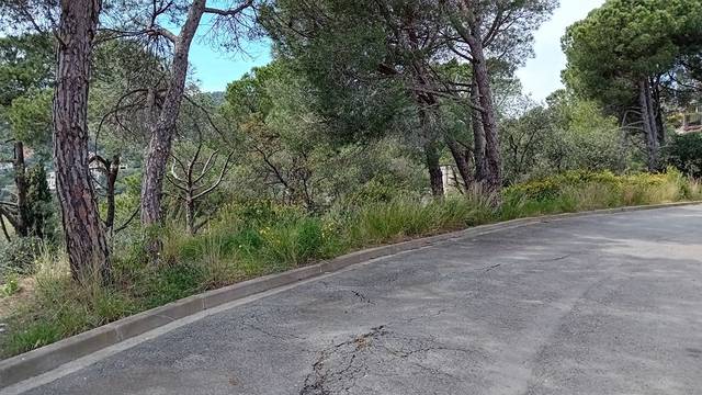 Terreno residencial en Venta en Eucaliptus, 14 en Mas Pere - Río de Oro