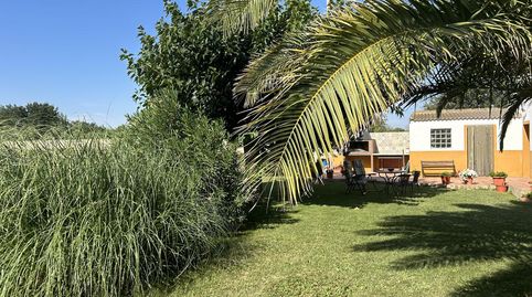 Foto 5 de Finca rústica en venda a Camino Galoche, Azucarera, Tudela