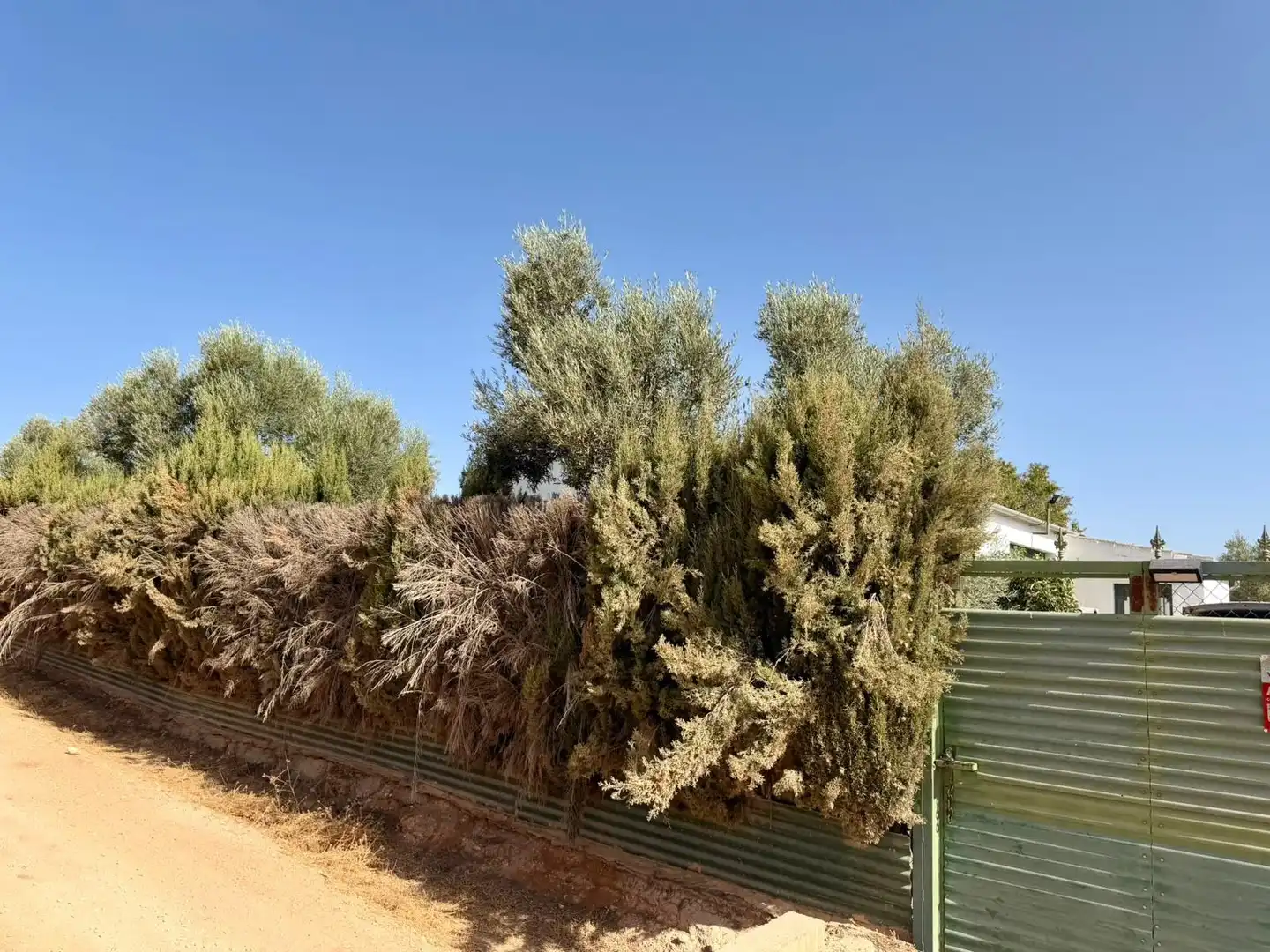 Casa rústica en venda a Fuente de Piedra, imagen 20
