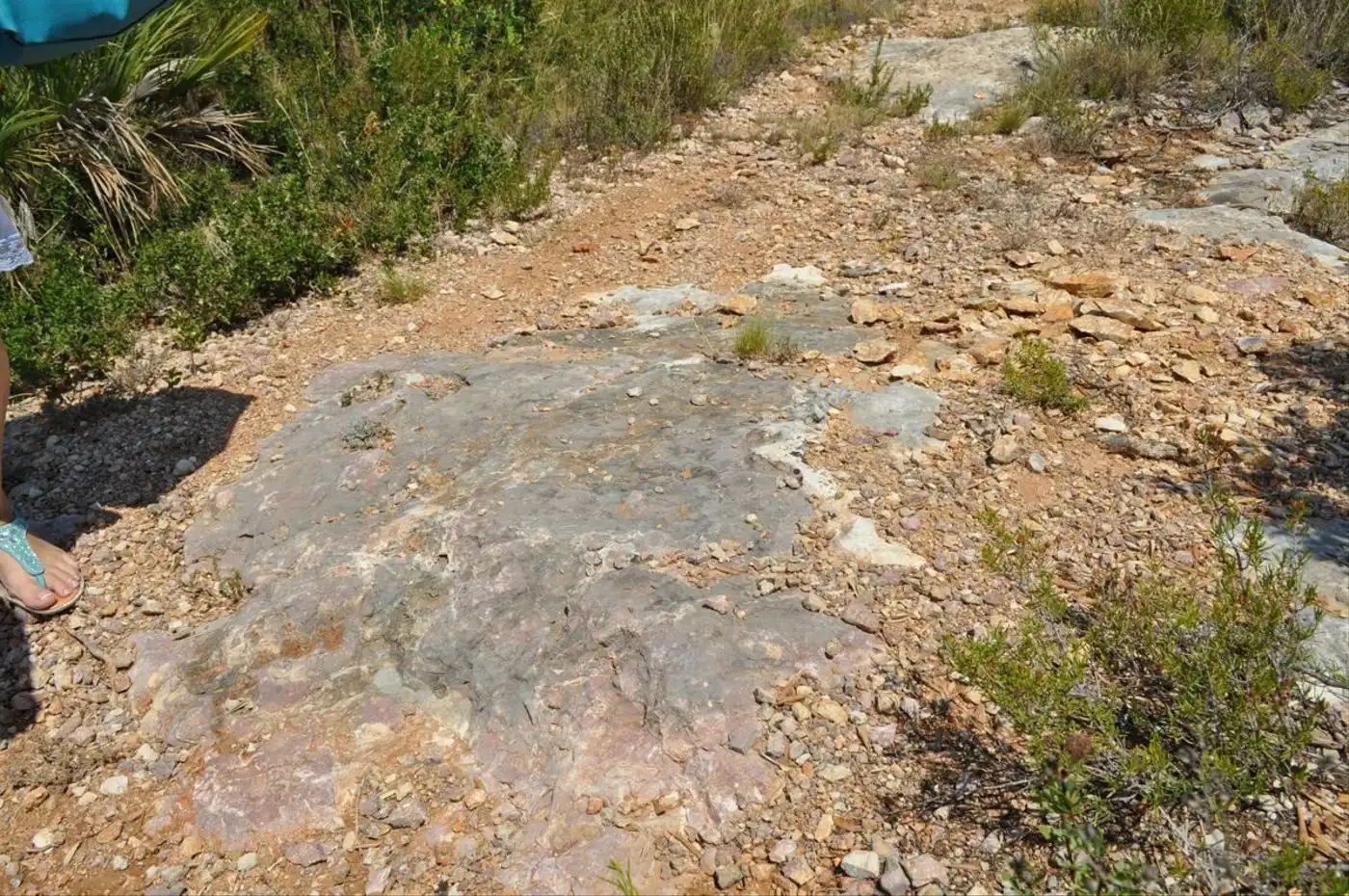 Land for sale in Camí del Barranc de la Llet, 26, Sant Llàtzer