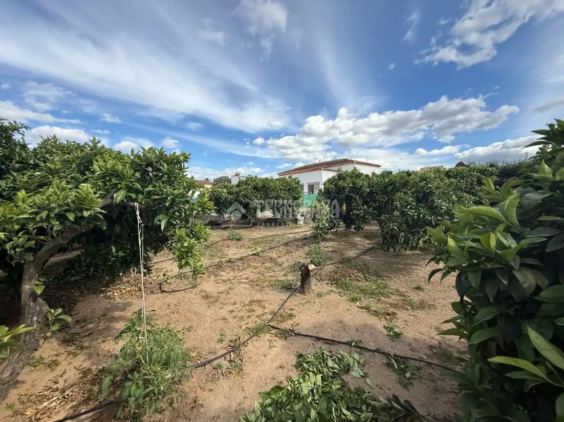 Finca rústica en venda en Arahal amb Aire condicionat