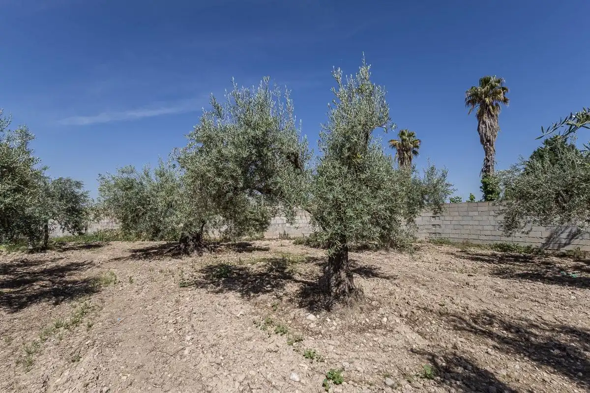 Residential for sale in Gójar