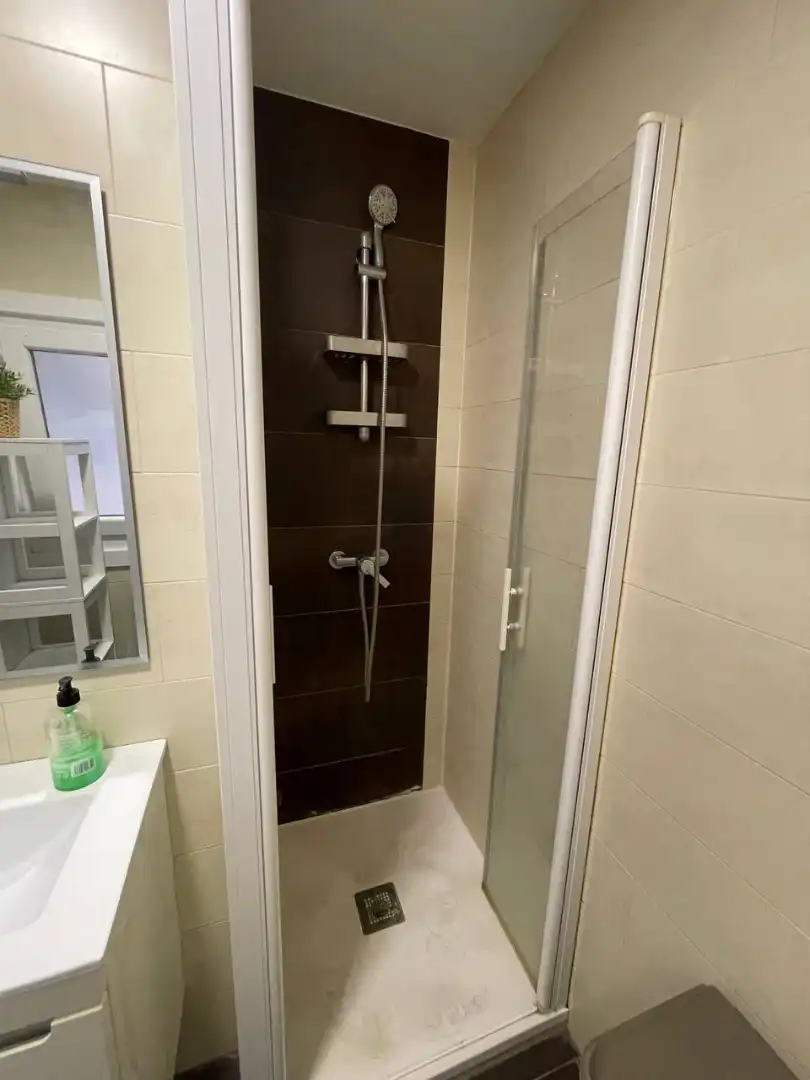 Bathroom of Apartments for rent in A Coruña Capital   with Parquet flooring, Furnished and Oven