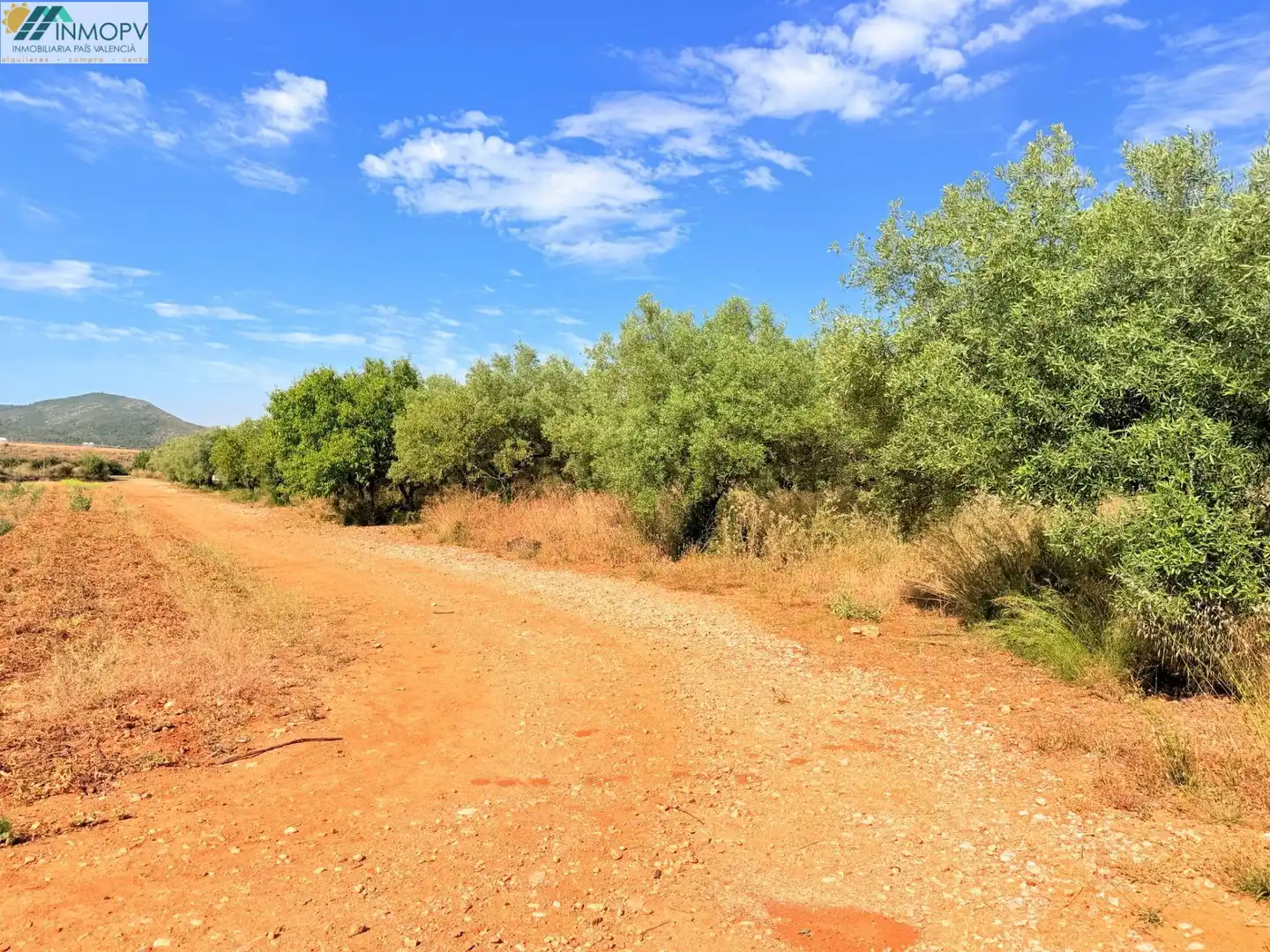 Terreny rústic en venda a Las Atalayas - Urmi - Cerro de Mar, imagen 17