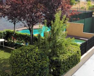 Swimming pool of Flat to rent in  Madrid Capital  with Air Conditioner, Heating and Storage room