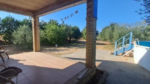 Foto 2 de Finca rústica en venta en Pilas, Sevilla