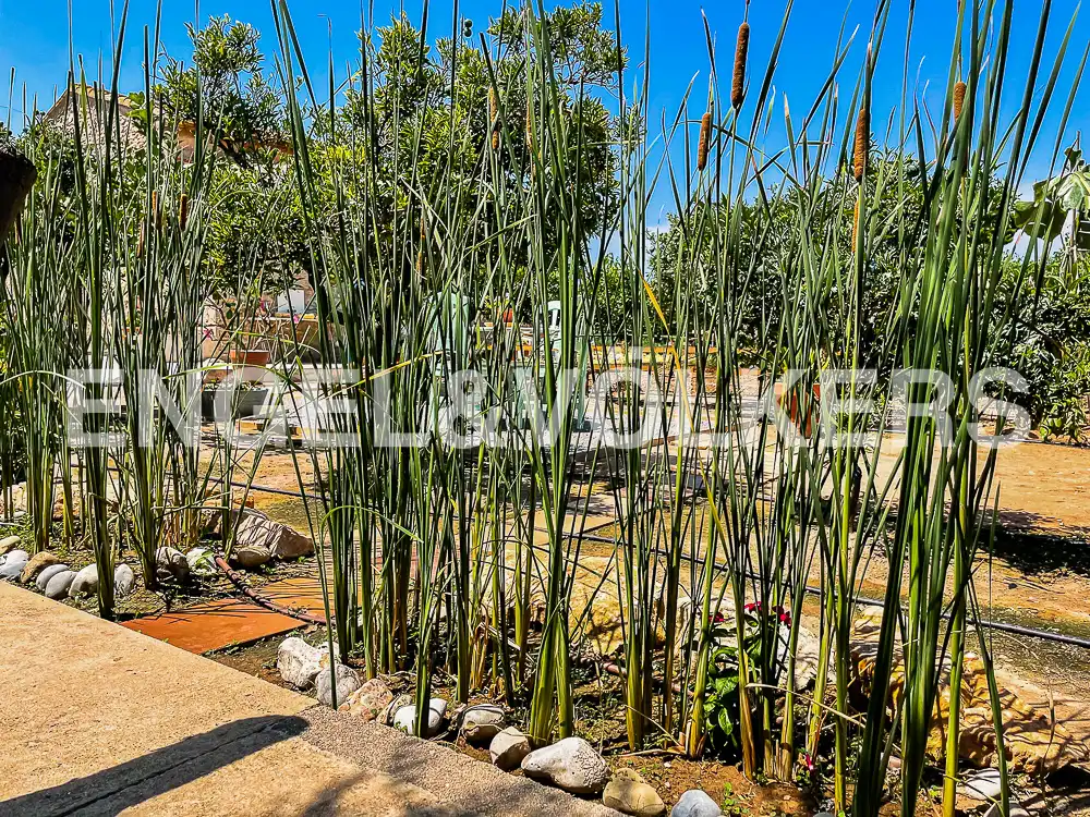 Jardín de Casa o chalet en venta en Almazora / Almassora con Calefacción, Jardín privado y Terraza