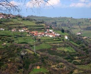 Vista exterior de Casa o xalet en venda en Morcín amb Terrassa