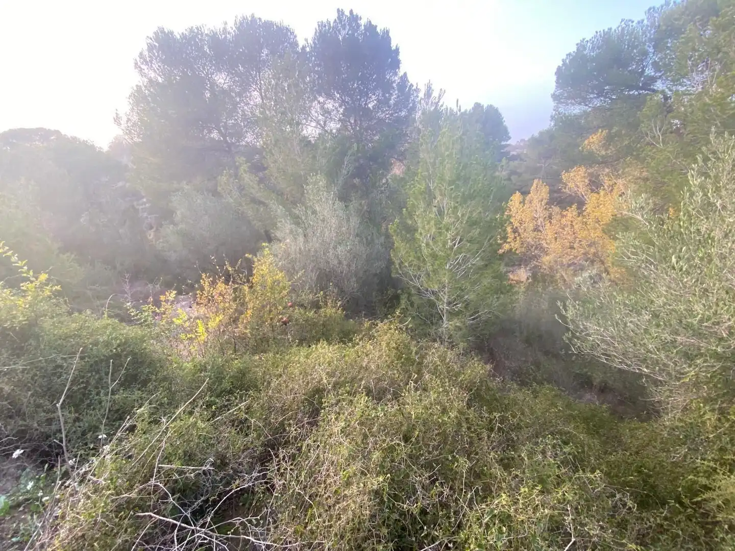 Residencial en venda en Arjona