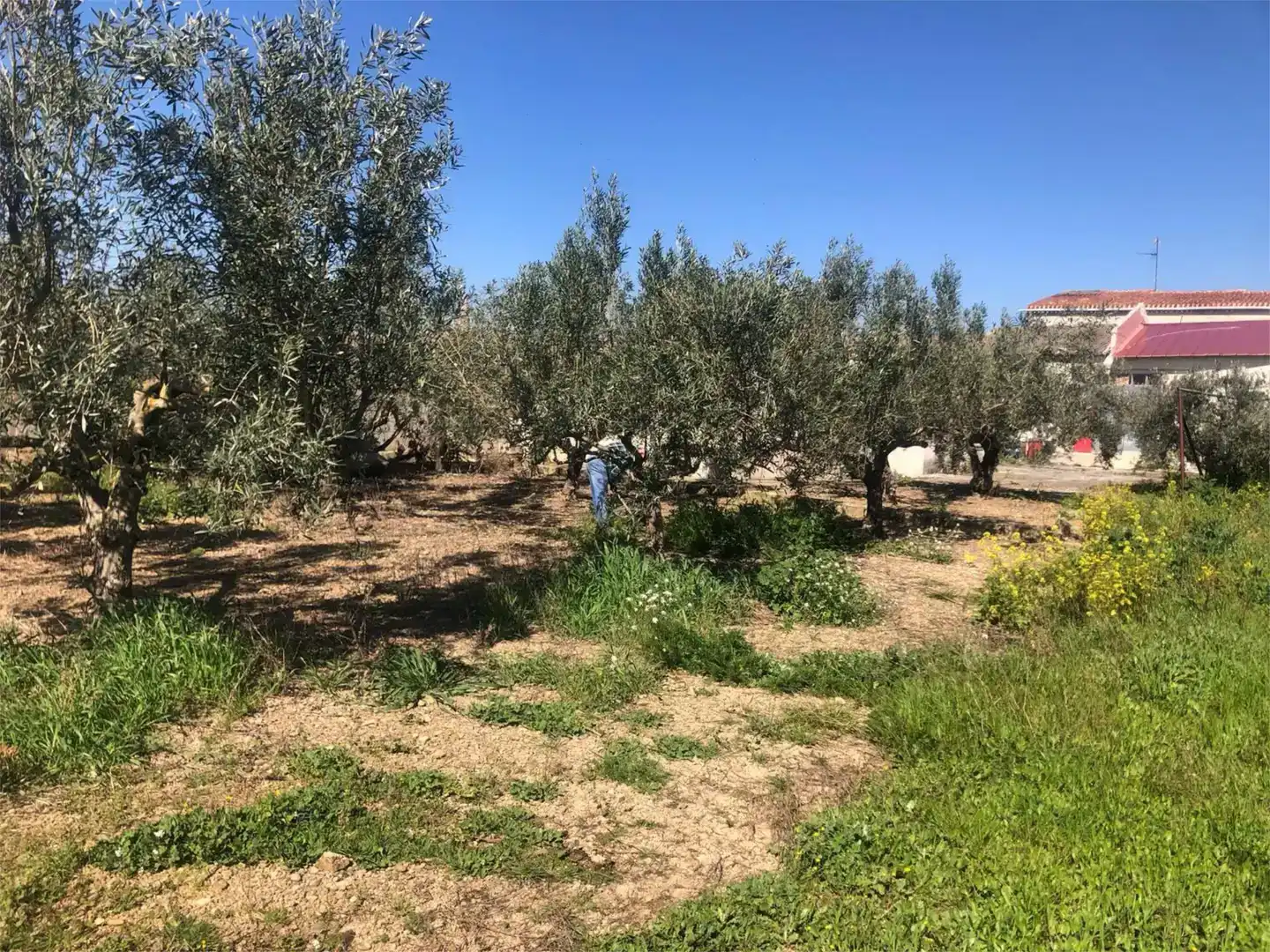 Finca rústica en venda en Olite / Erriberri