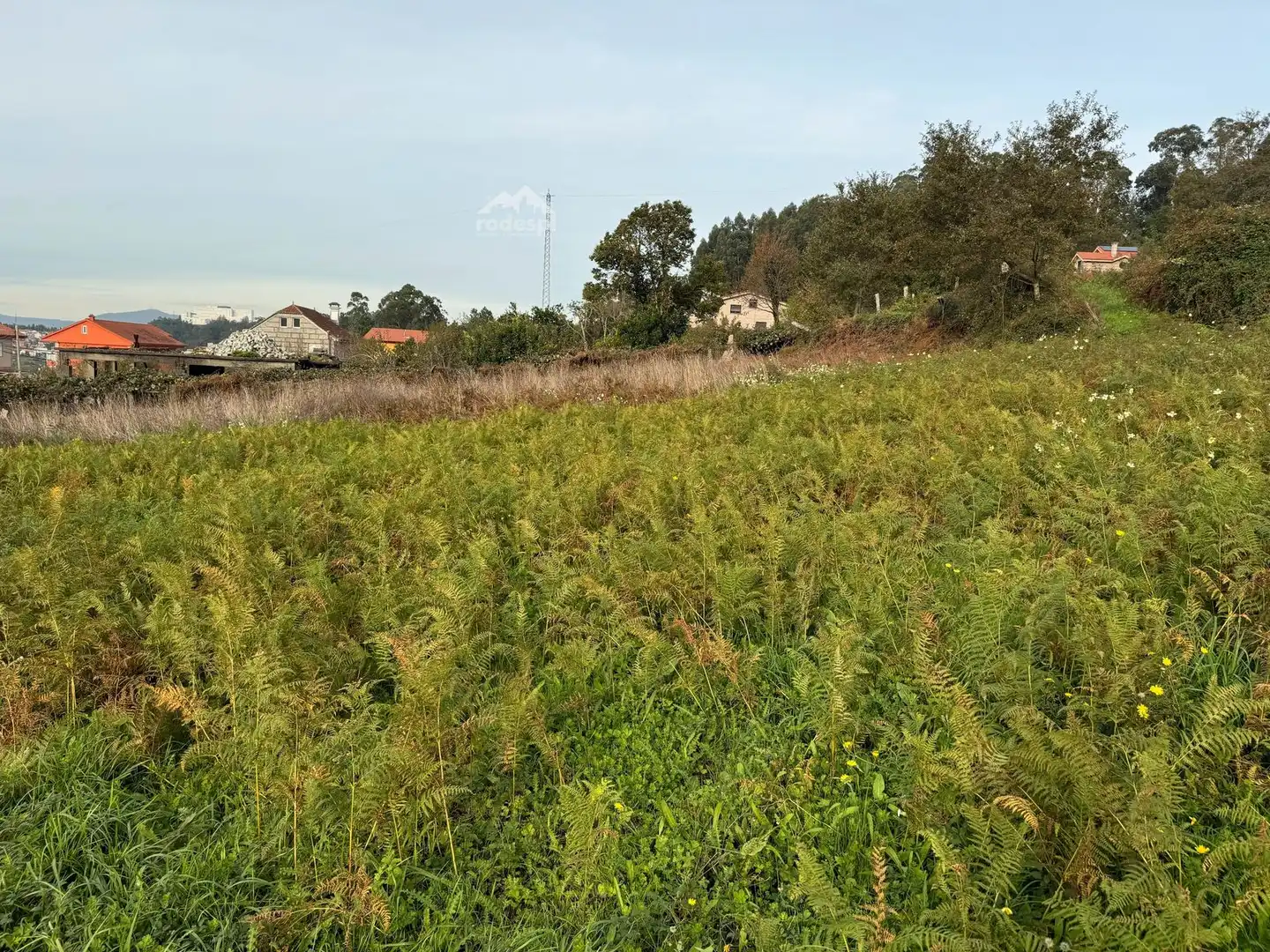 Terreno rústico en venta en Bembrive, imagen 17